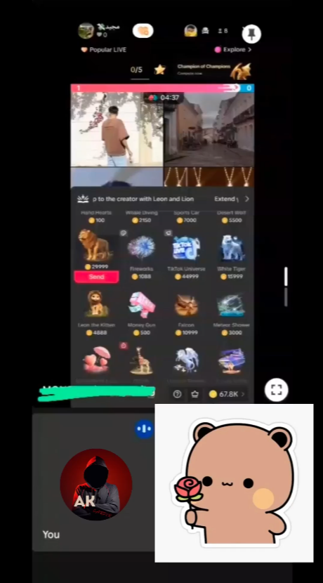 Video preview